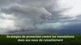 Vidéo: Stratégies de protection contre les inondations causées par le ruissellement de surface