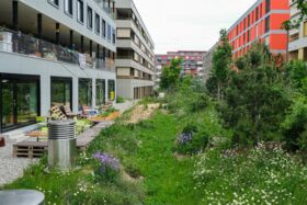 Quartier d’une ville éponge avec fossés d’infiltration, rez-de-chaussée et ouvertures de bâtiments surélevés (Canton de Genève, Théo Gardiol)